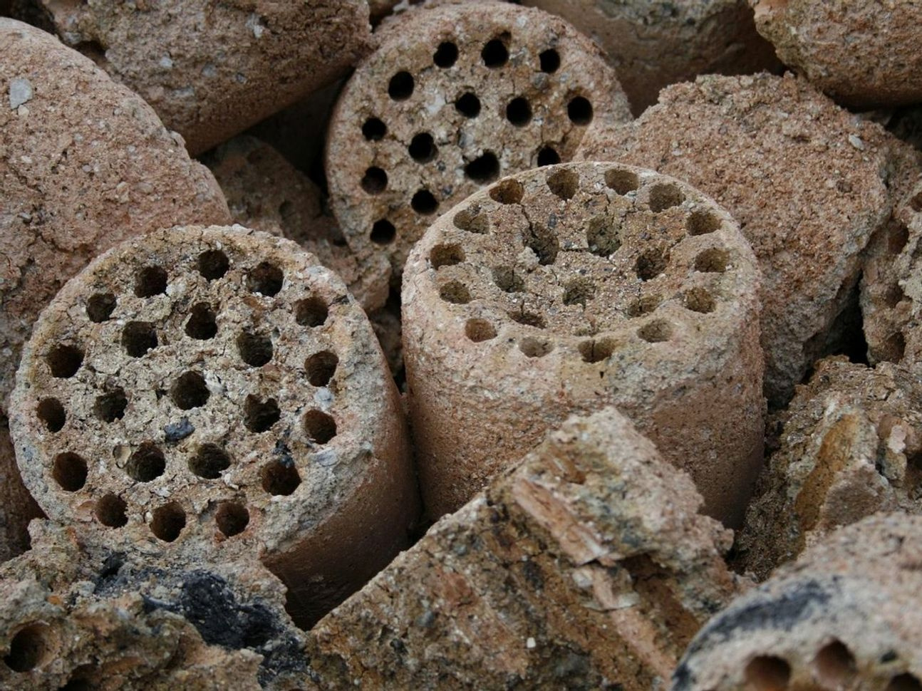 Sabahın İlk Saatleri Hasat