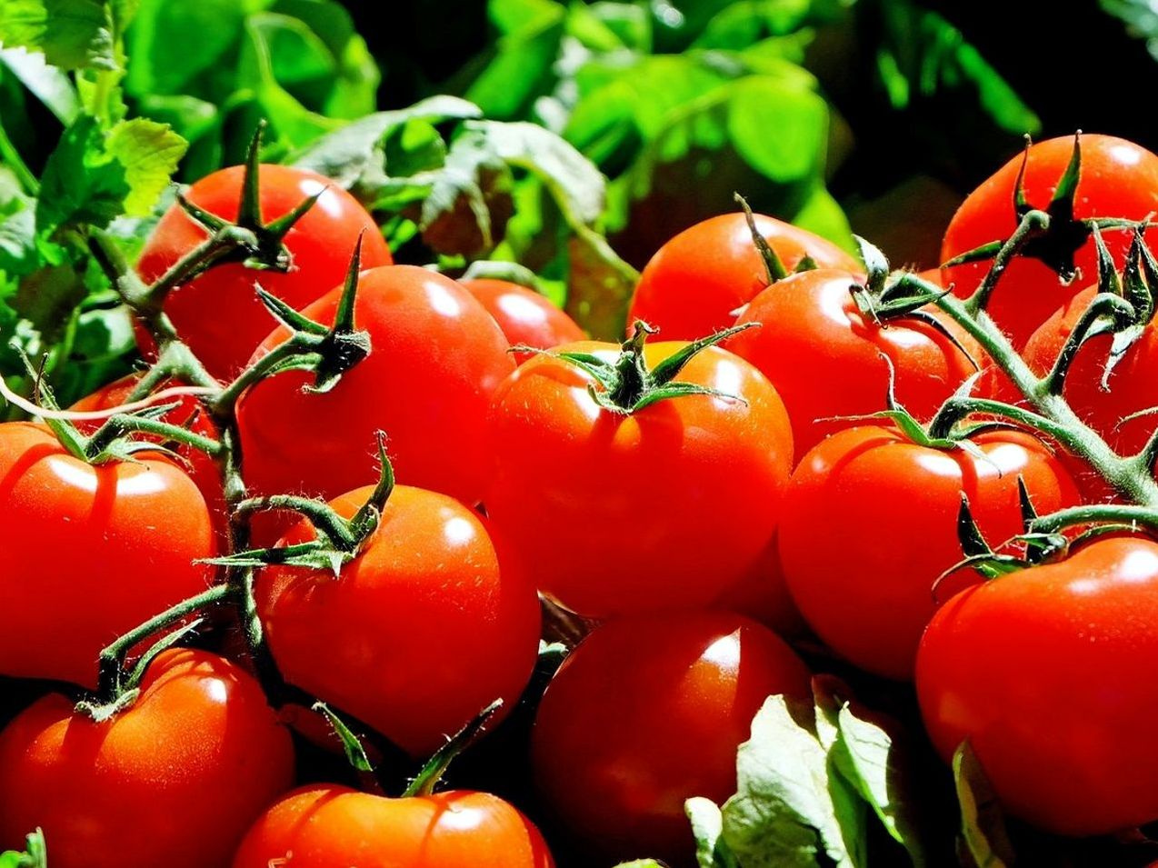 Sabah Saatlerinde Teslim Edilen Seçilmiş Berries Paketi