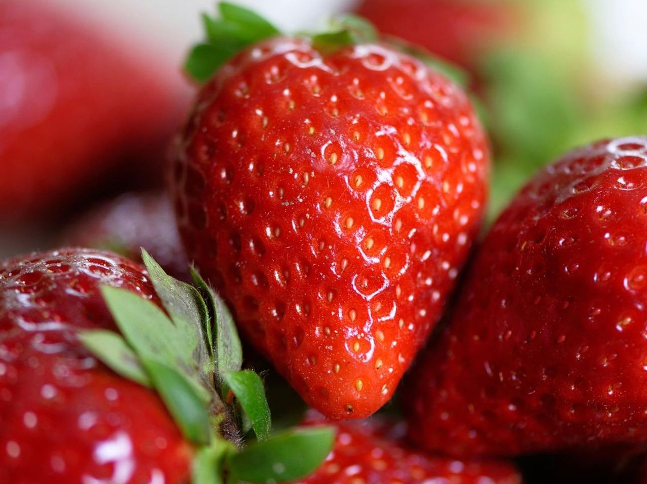 Limon ve Portakal Koleksiyonu